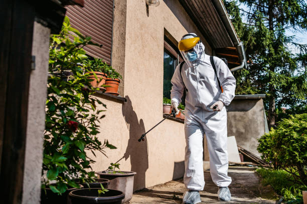 Best Wasp Removal Services  in USA