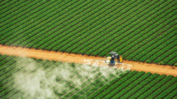 Best Commercial Pest Control Services  in USA